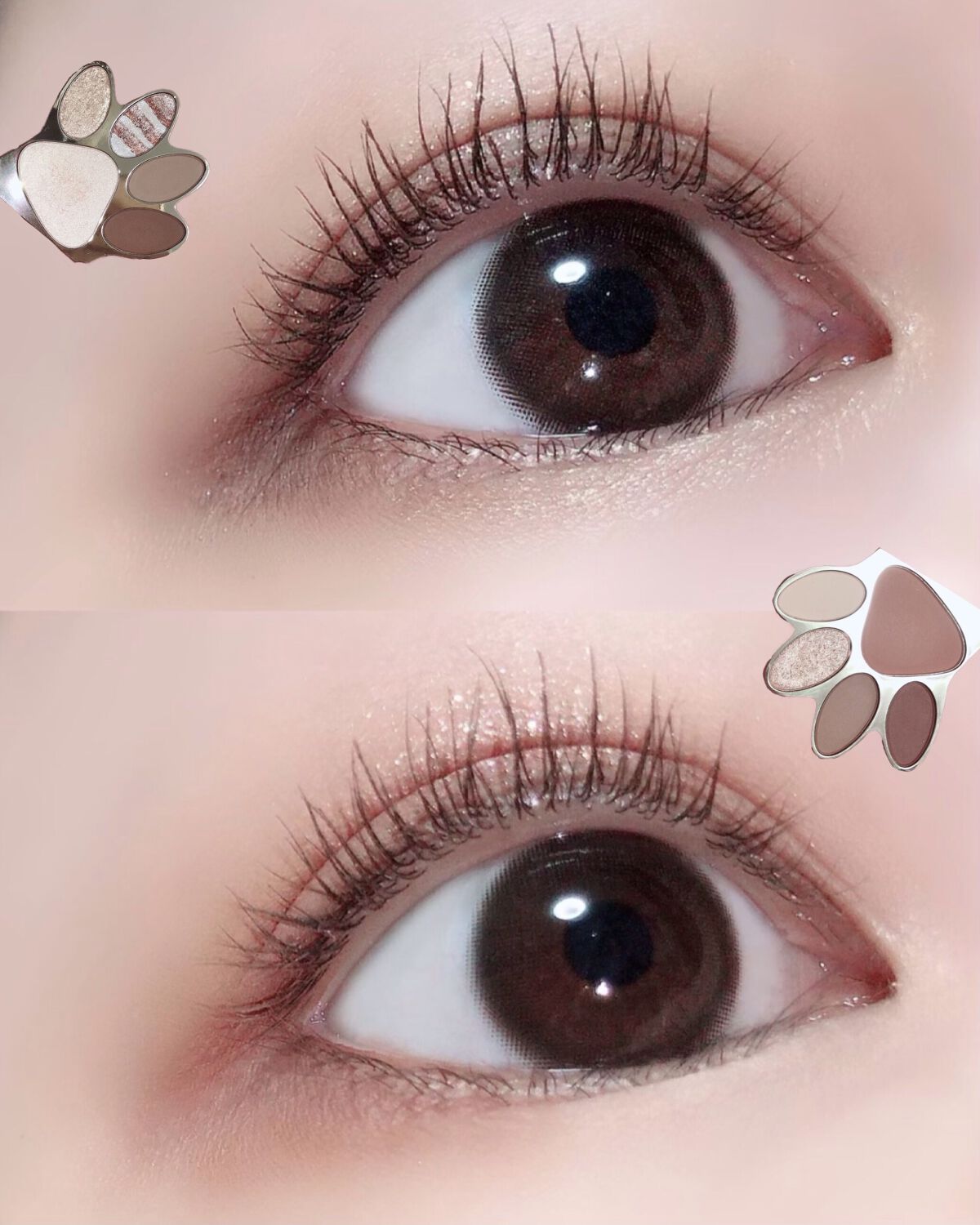 トラ十色アイシャドウパレット/COLORKEY/アイシャドウパレットを使ったクチコミ（1枚目）