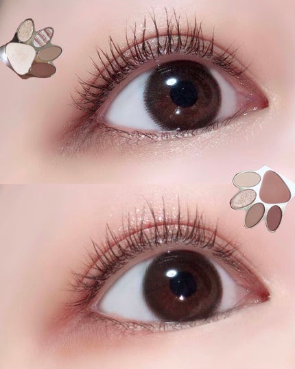 トラ十色アイシャドウパレット/COLORKEY/アイシャドウパレットを使ったクチコミ(1枚目)