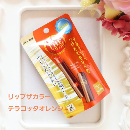 リップザカラー テラコッタオレンジ/リップザカラー/口紅を使ったクチコミ(1枚目)