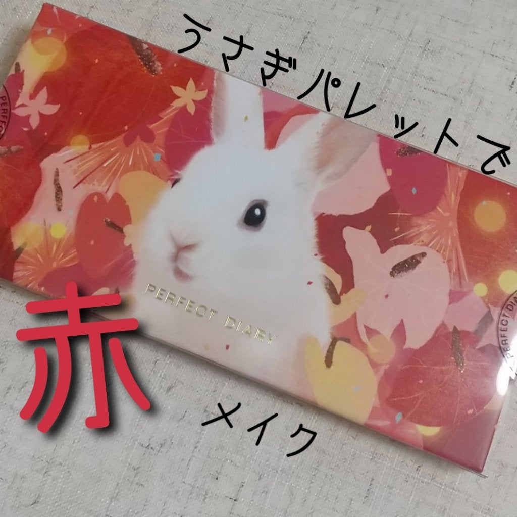 エクスプローラ12色 動物アイシャドウパレット/PERFECT DIARY/アイシャドウパレットを使ったクチコミ(1枚目)