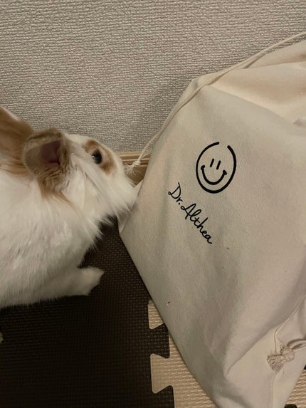 2020福袋/Dr.Althea/その他キットセットを使ったクチコミ(4枚目)