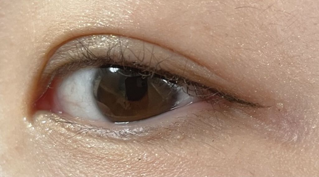 ドラマティックスタイリングアイズＳ/マキアージュ/アイシャドウパレットを使ったクチコミ（2枚目）