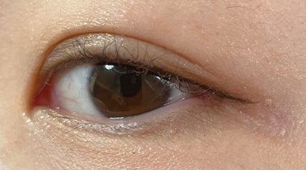 ドラマティックスタイリングアイズS/マキアージュ/アイシャドウパレットを使ったクチコミ(2枚目)