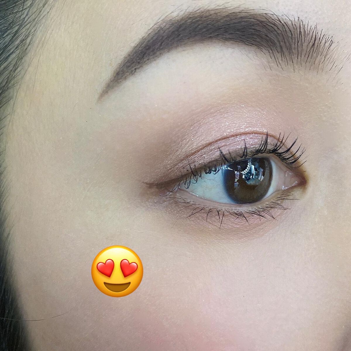 アディクション ザ アイシャドウ パレット/ADDICTION/アイシャドウパレットを使ったクチコミ(9枚目)