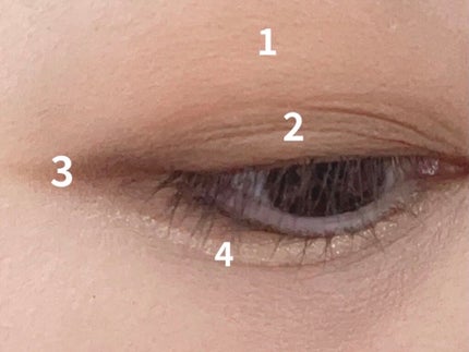 プロ アイパレット ミニ/CLIO/アイシャドウパレットを使ったクチコミ(3枚目)