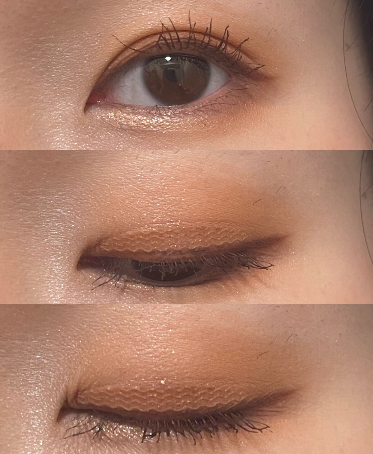 シャドウパレット/dasique/アイシャドウパレットを使ったクチコミ(2枚目)