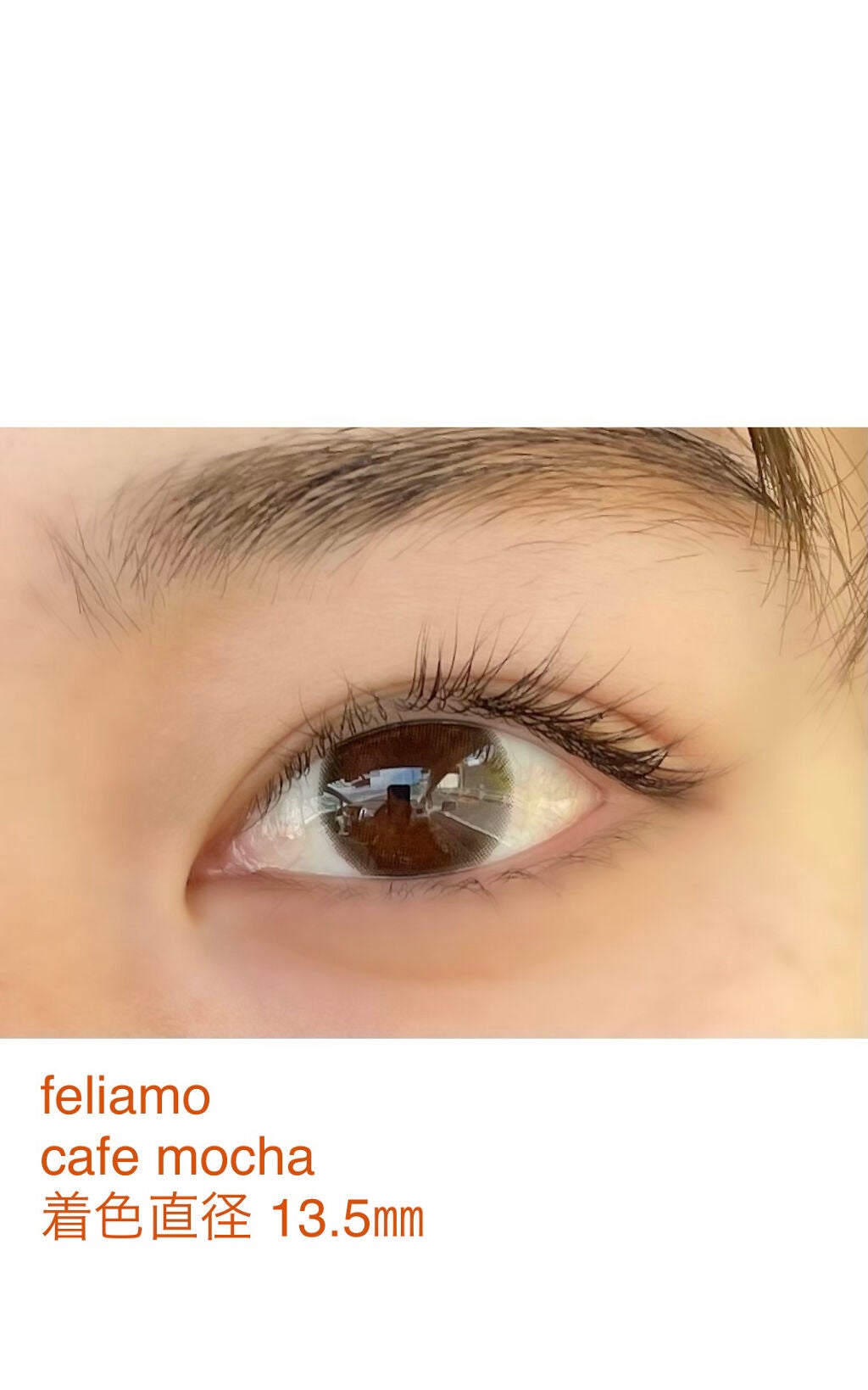feliamo 1day/feliamo/ワンデー(1DAY)カラコンを使ったクチコミ(1枚目)