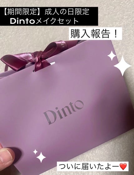 ブラーフィニシュシャドウパレット/Dinto/アイシャドウパレットを使ったクチコミ(1枚目)