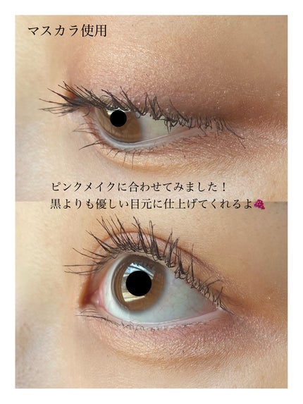 シルキーリキッドアイライナーWP/D-UP/リキッドアイライナーを使ったクチコミ(3枚目)