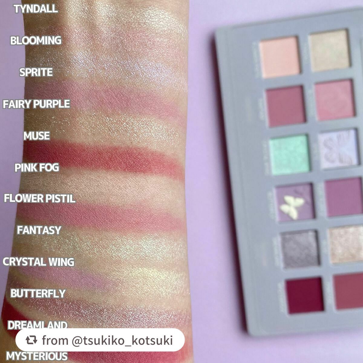 エクスプローラ12色 動物アイシャドウパレット/PERFECT DIARY/アイシャドウパレットを使ったクチコミ(7枚目)