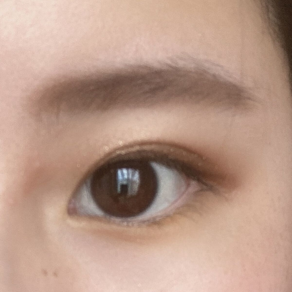 チップオン パウダーアイブロウ/グレイシィ/パウダーアイブロウを使ったクチコミ（1枚目）