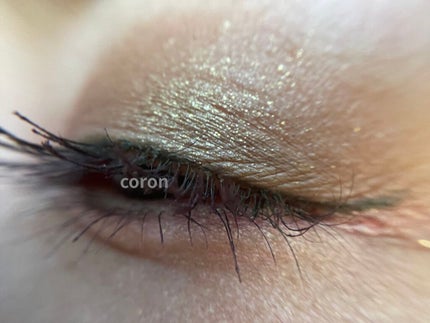 パンプキン スパイス アイシャドウ パレット(旧)/Too Faced/アイシャドウパレットを使ったクチコミ(6枚目)