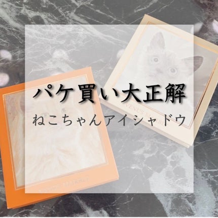 Venus Marble アイシャドウキャットシリーズ/Venus Marble/アイシャドウパレットを使ったクチコミ(1枚目)