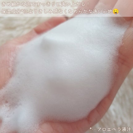 ナチュラルハンドソープC(CITRUS HERB/シトラスハーブ)/+sh/ハンドソープを使ったクチコミ(4枚目)