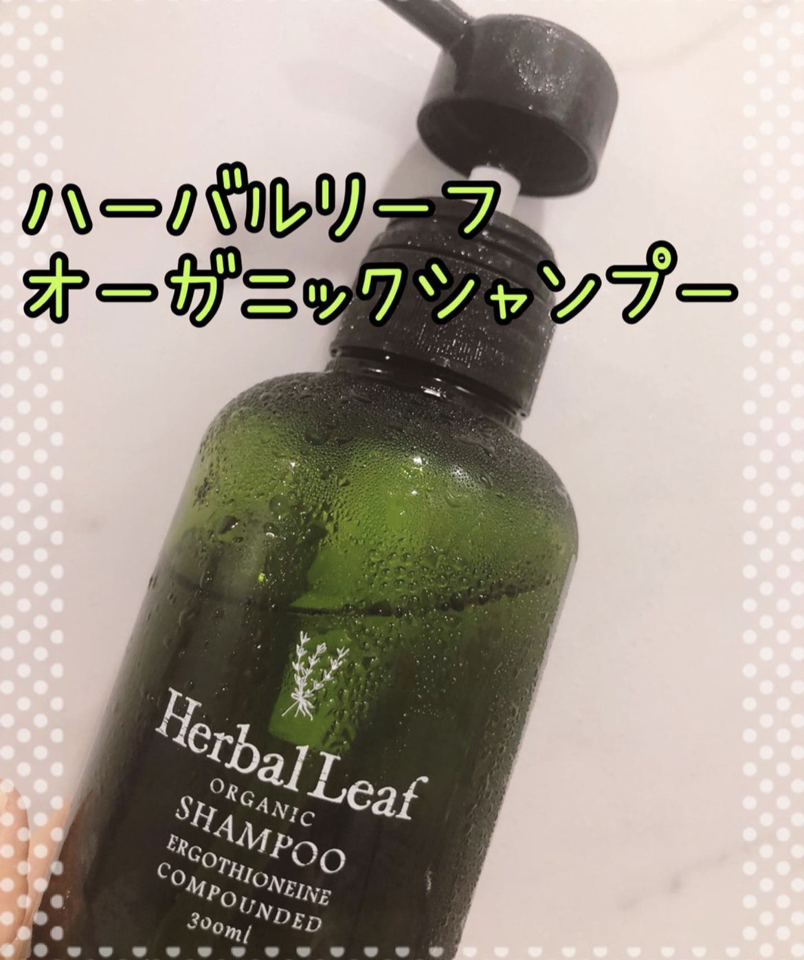 オーガニックシャンプー／コンディショナー/ハーバルリーフ/市販シャンプーを使ったクチコミ（1枚目）