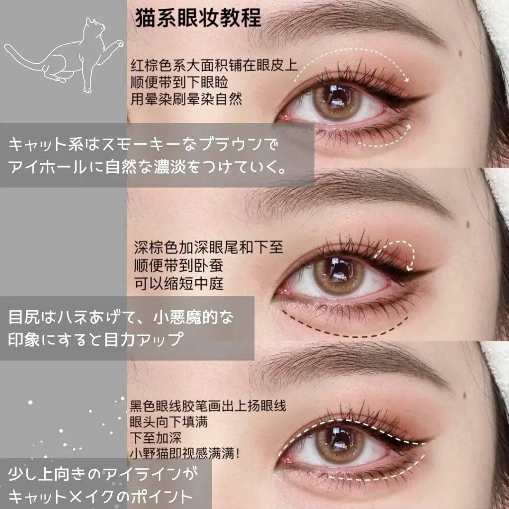 整形メイクちゃん on LIPS 「同じ目でもアイメイクによって別人に?愛され動物を集めたアイメイ..」(2枚目)