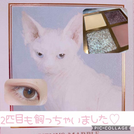 Venus Marble アイシャドウキャットシリーズ/Venus Marble/アイシャドウパレットを使ったクチコミ(1枚目)