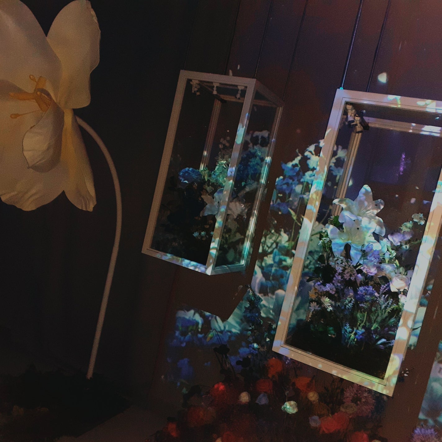 セラティス テラ プレミアム EX ナイト モイスト シャンプー/ヘアトリートメント/THERATIS/市販シャンプーを使ったクチコミ(6枚目)