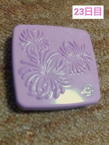 メイクアップ コレクション 2021/PAUL & JOE BEAUTE/メイクアップキットを使ったクチコミ(8枚目)