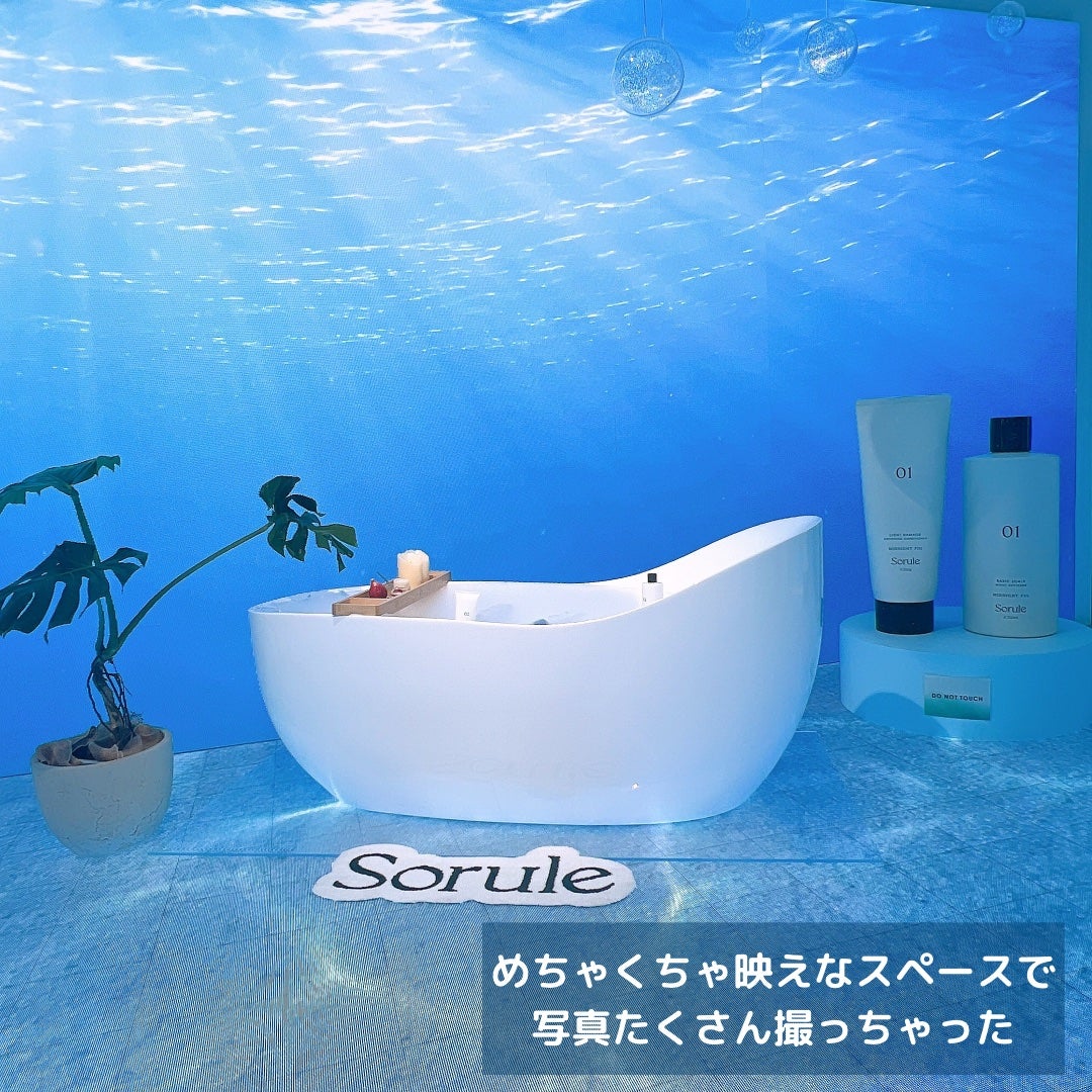 モイストソフナー 02オイリースカルプ/Sorule/市販シャンプーを使ったクチコミ(2枚目)