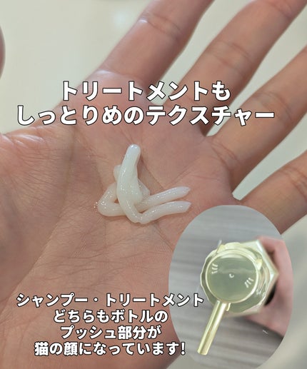 ã¢ã³ããã㌠ãã¯ã·ãŒ ã¢ã€ã¹ãã·ã«ã㌠ã·ã£ã³ããŒ1.0/ãã¢ããªãŒãã¡ã³ã2.0/&honey/åžè²©ã·ã£ã³ããŒã䜿ã£ãã¯ãã³ãïŒ3æç®ïŒ
