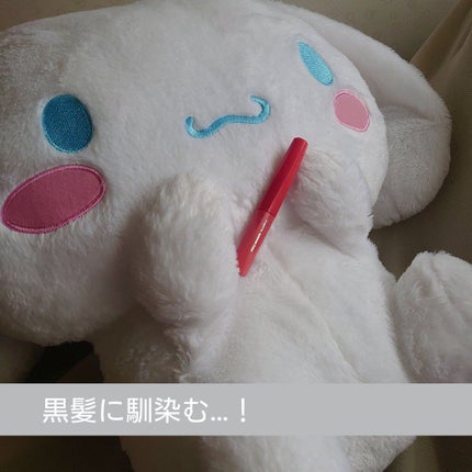 フィルム眉カラー/デジャヴュ/眉マスカラを使ったクチコミ(1枚目)