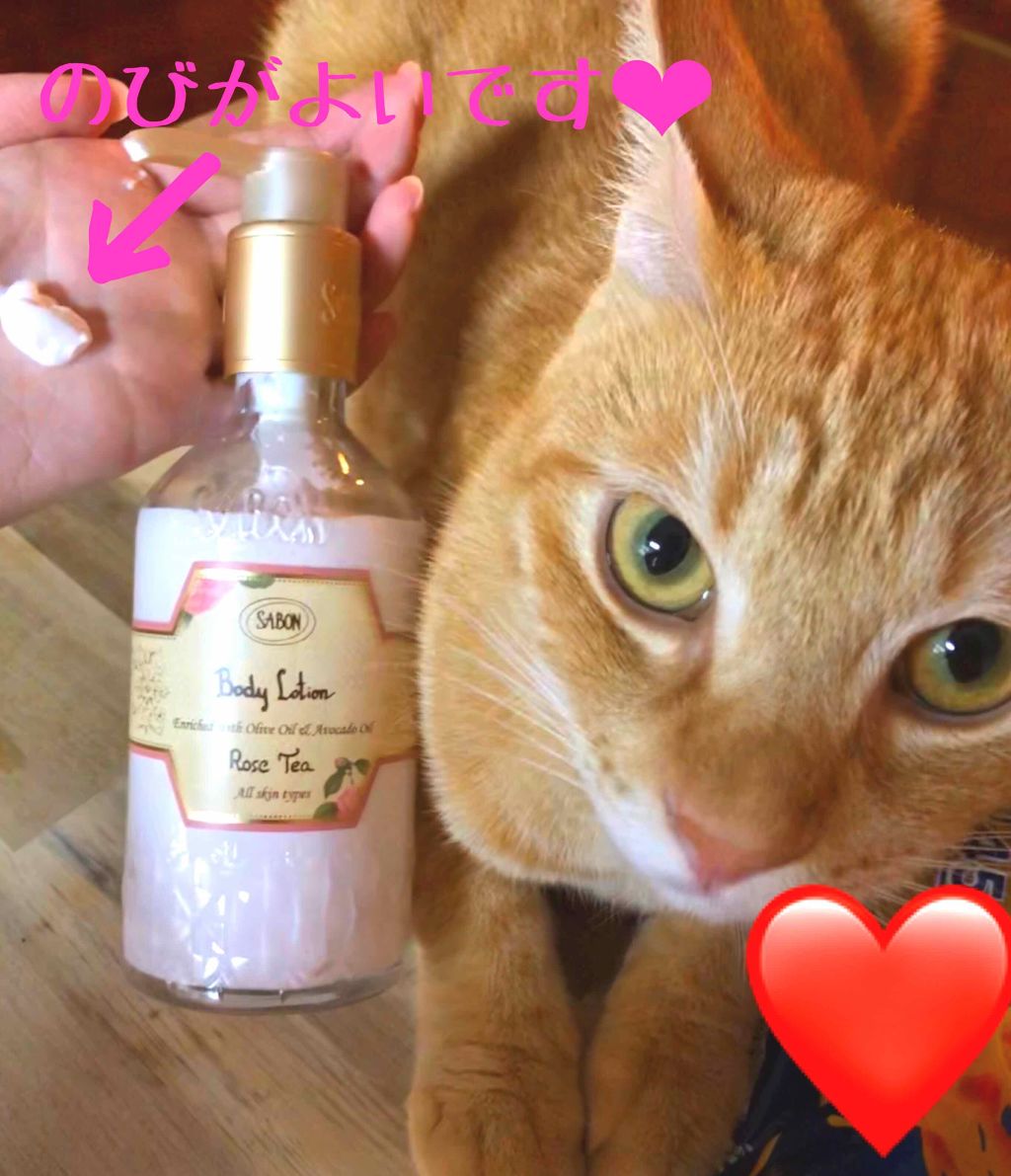 ボディローション/SABON/ボディローションを使ったクチコミ（2枚目）
