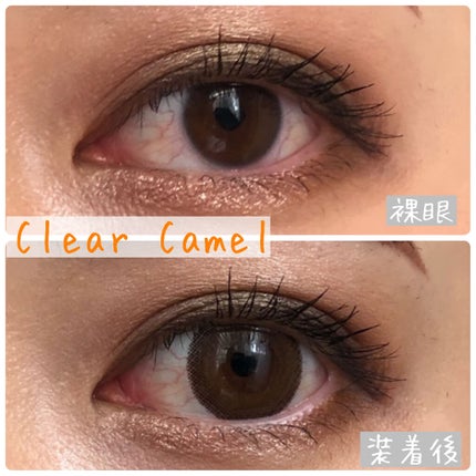 エバーカラーワンデーナチュラル モイストレーベルUV/エバーカラー/ワンデー(1DAY)カラコンを使ったクチコミ(7枚目)