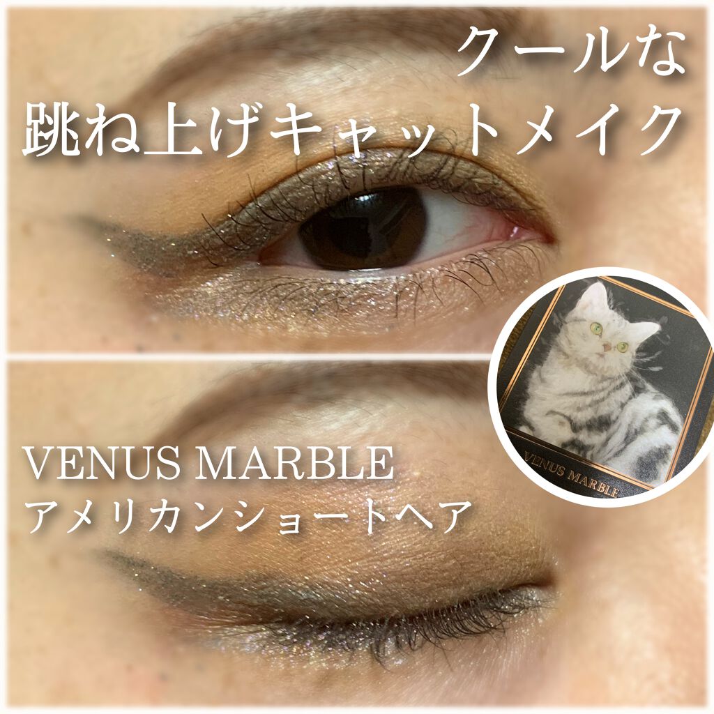 Venus Marble アイシャドウキャットシリーズ/Venus Marble/アイシャドウパレットを使ったクチコミ(1枚目)