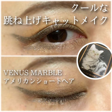 Venus Marble アイシャドウキャットシリーズ/Venus Marble/パウダーアイシャドウを使ったクチコミ（1枚目）