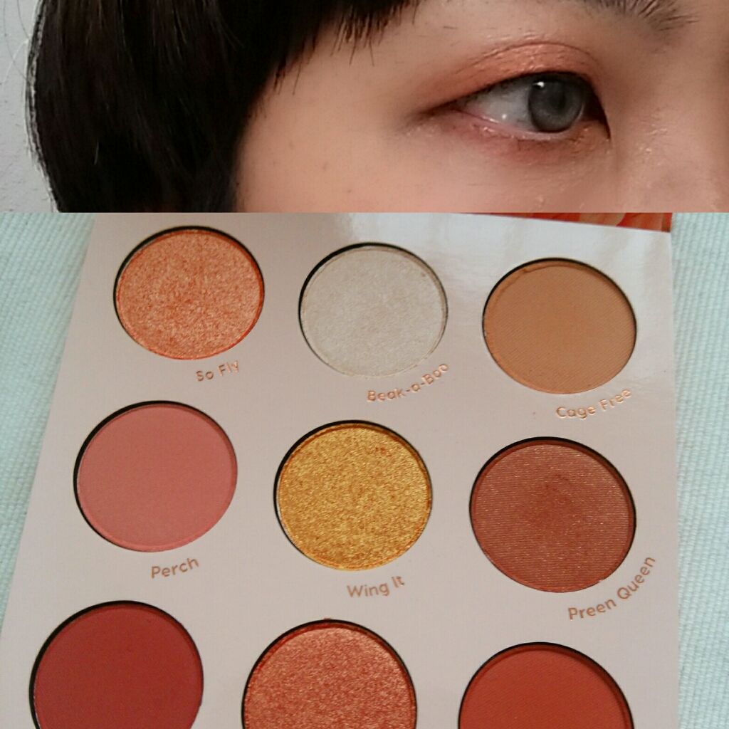 bird of Paradise/ColourPop/アイシャドウパレットを使ったクチコミ（3枚目）