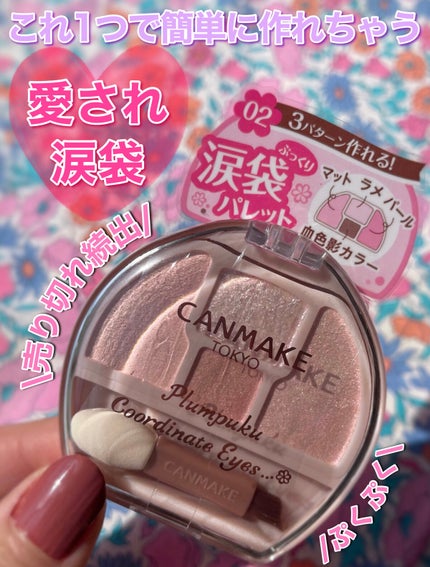 プランぷくコーデアイズ/キャンメイク/パウダーアイシャドウを使ったクチコミ(1枚目)