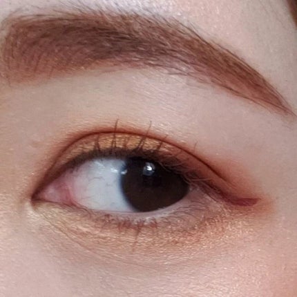 【旧】サンク クルール クチュール/Dior/アイシャドウパレットを使ったクチコミ(3枚目)