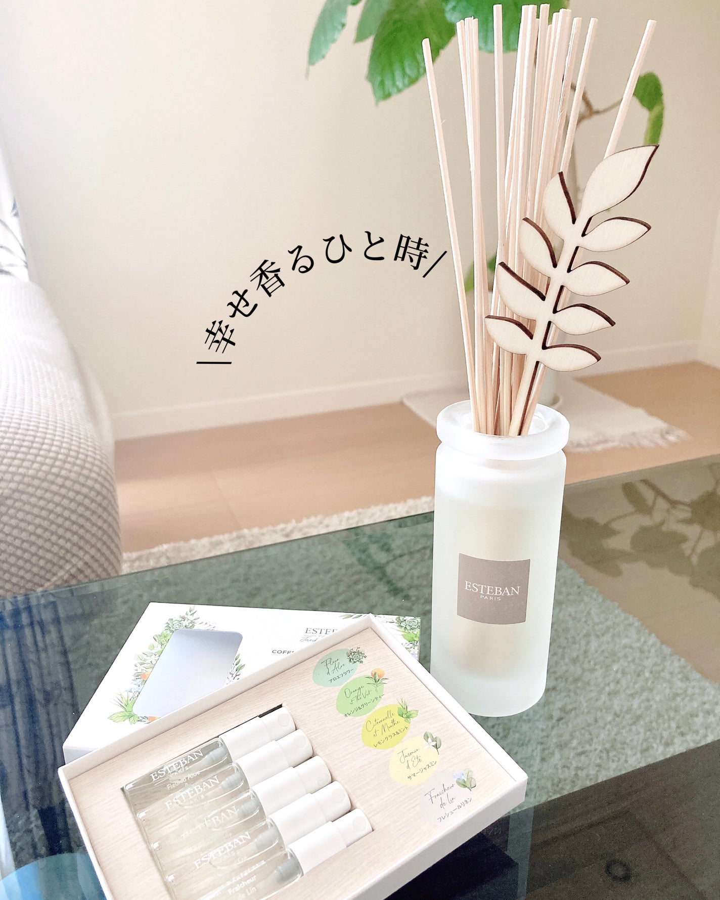 インテリアガーデン ナチュール ラタンブーケ ディフューザー /ESTEBAN/ルームフレグランスを使ったクチコミ(8枚目)