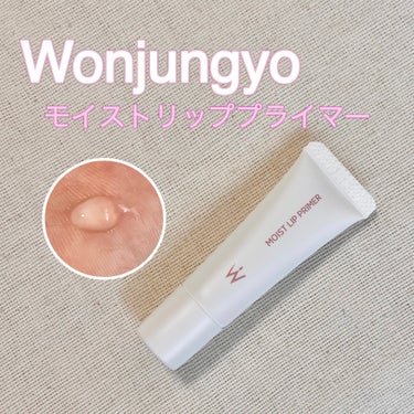 ウォンジョンヨ モイストリッププライマー　/Wonjungyo/リップケア・リップクリームを使ったクチコミ（1枚目）