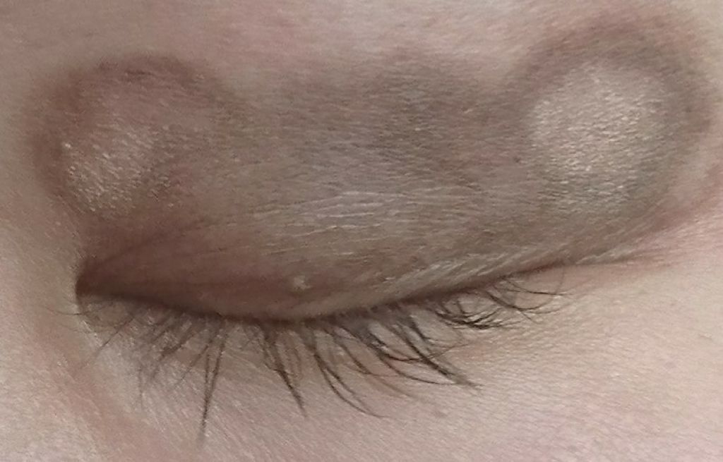 アイパレット ベージュブラウン/カリプソ/アイシャドウパレットを使ったクチコミ（2枚目）