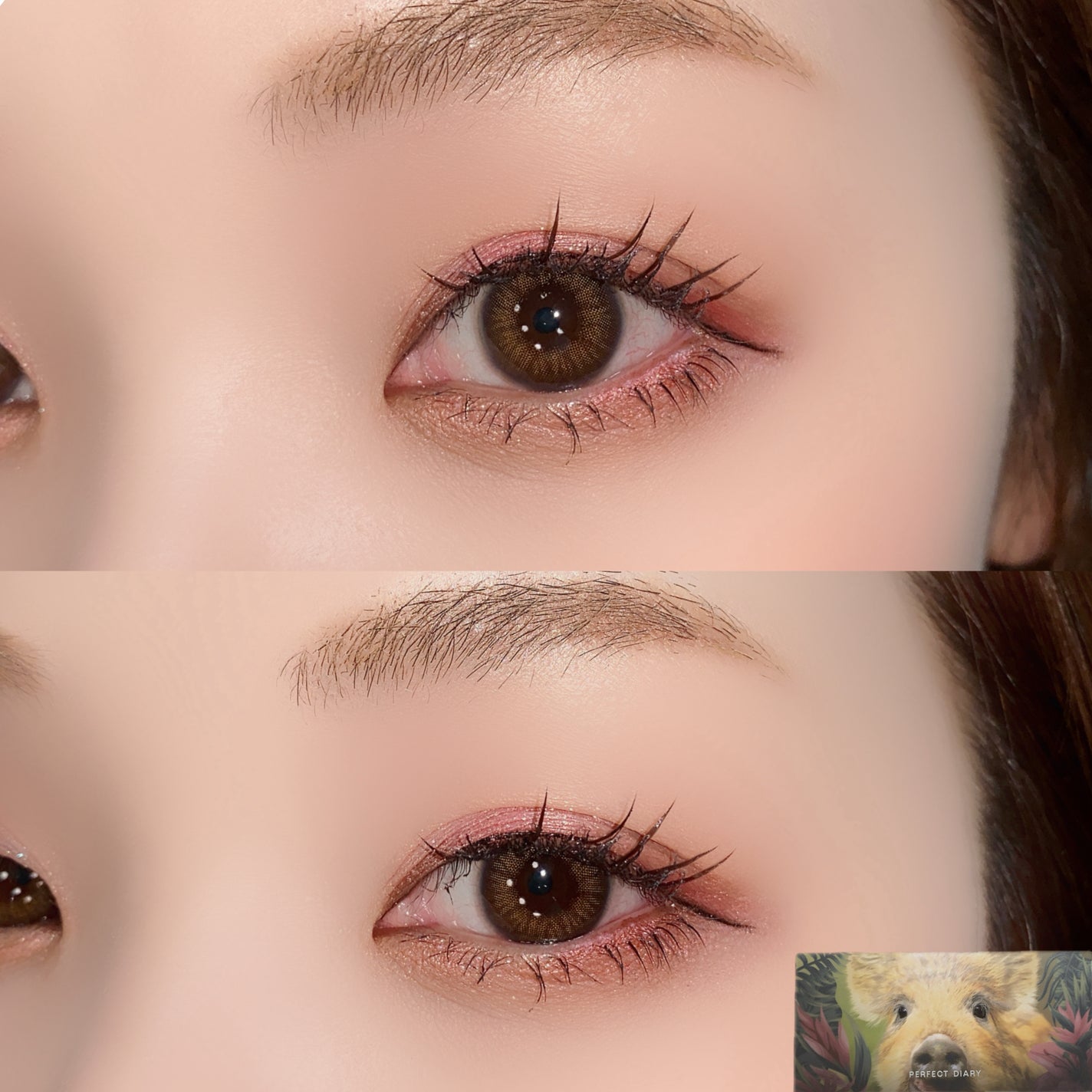 エクスプローラ12色 動物アイシャドウパレット/PERFECT DIARY/アイシャドウパレットを使ったクチコミ(10枚目)