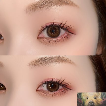 エクスプローラ12色 動物アイシャドウパレット/PERFECT DIARY/アイシャドウパレットを使ったクチコミ(10枚目)