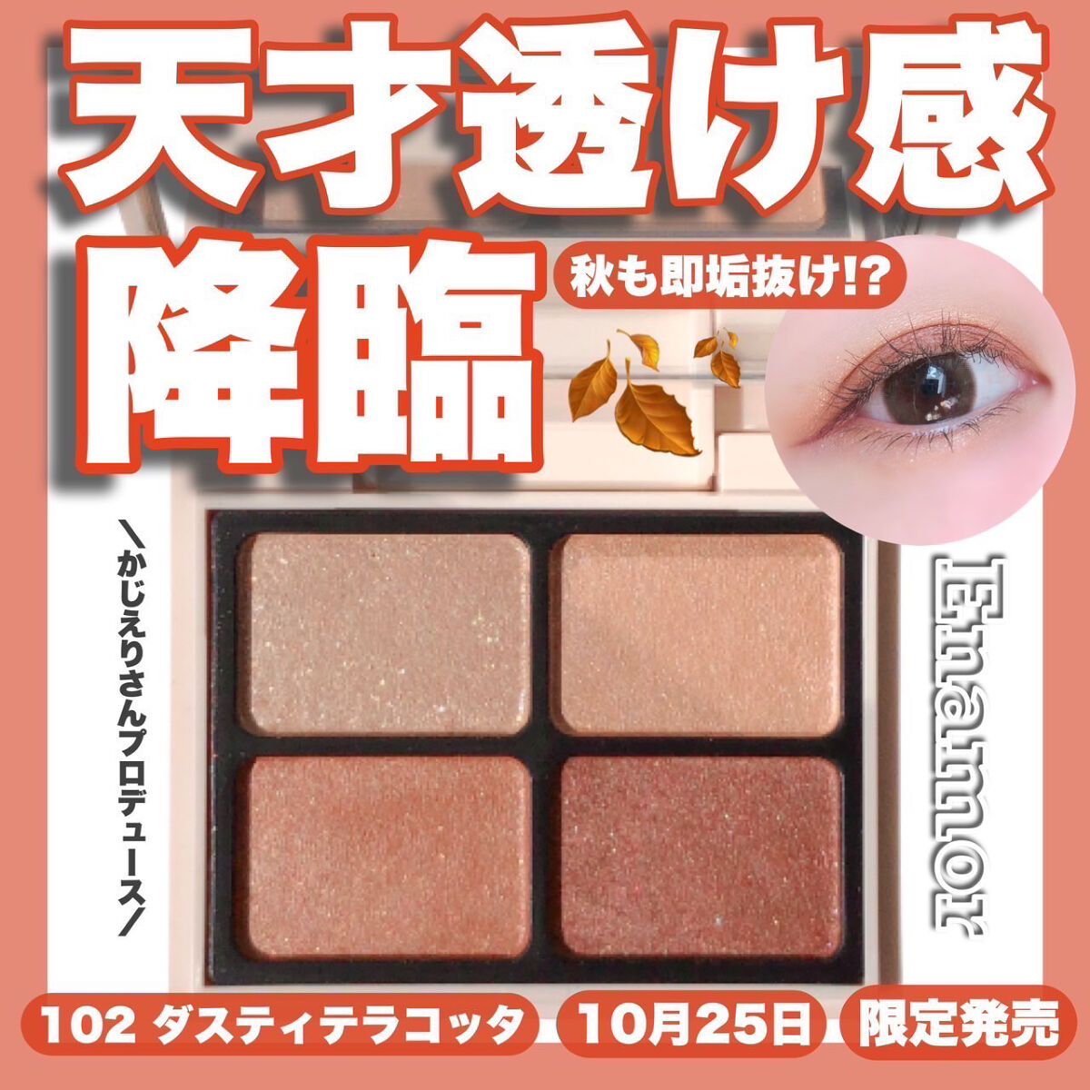 ニュアンスカラーアイズ 102 ダスティテラコッタ/Enamor/アイシャドウパレットを使ったクチコミ（1枚目）