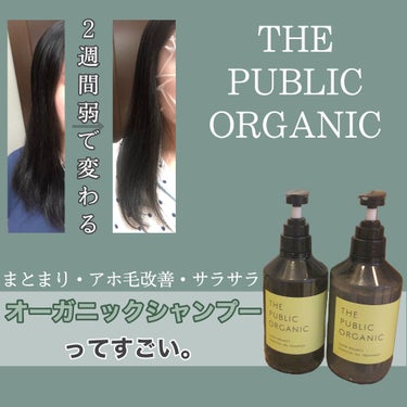 スーパーバウンシー DM シャンプー／DM ヘア トリートメント/THE PUBLIC ORGANIC/シャンプー・コンディショナーを使ったクチコミ（1枚目）