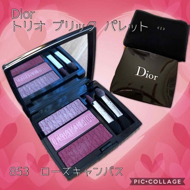 【旧】トリオ ブリック パレット/Dior/パウダーアイシャドウを使ったクチコミ（1枚目）