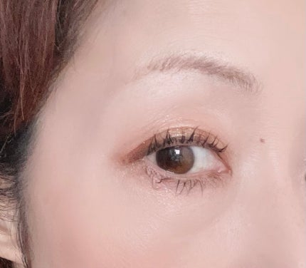 パノラマデザイン アイパレット/Visée/アイシャドウパレットを使ったクチコミ(4枚目)