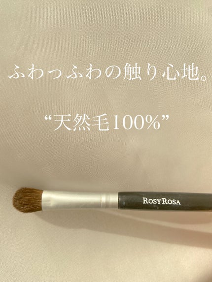 アイシャドウブラシセット/ロージーローザ/メイクブラシを使ったクチコミ(2枚目)