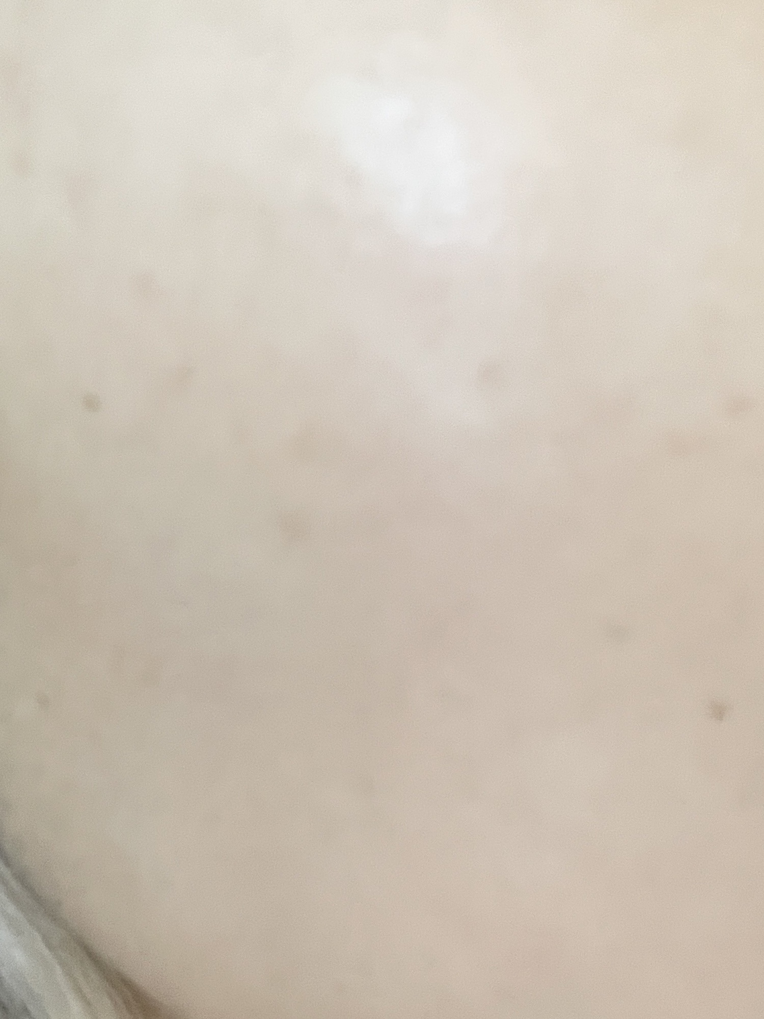 プロテーラービーベルベットカバークッション/espoir/クッションファンデーションを使ったクチコミ（3枚目）