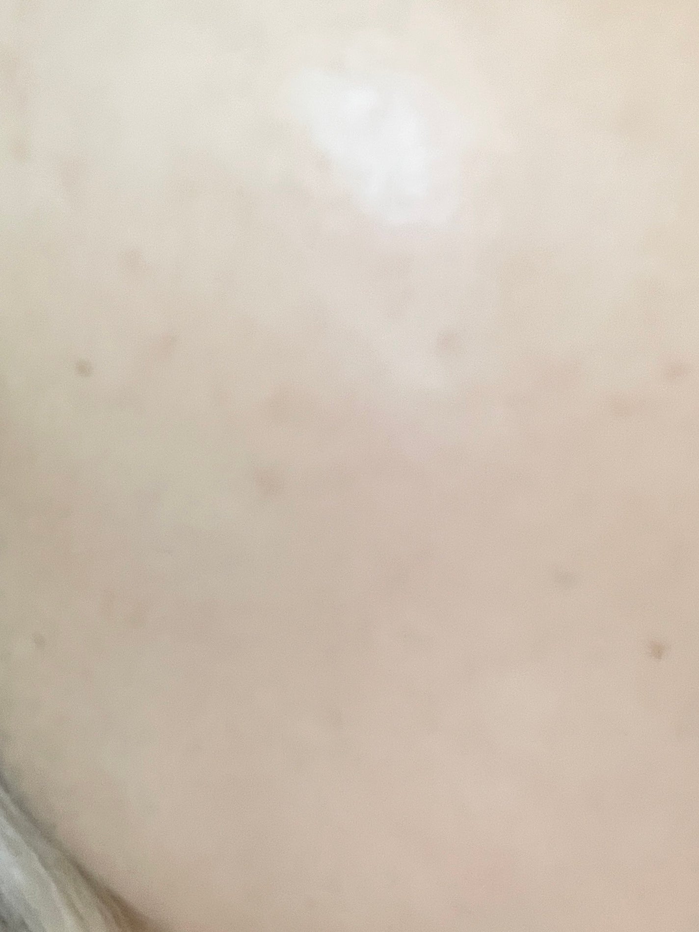 プロテーラービーベルベットカバークッション/espoir/クッションファンデーションを使ったクチコミ(3枚目)