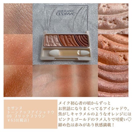 トーンアップアイシャドウ/CEZANNE/アイシャドウパレットを使ったクチコミ(4枚目)