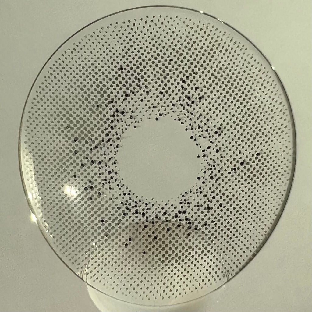 プロ アイ パレット/CLIO/アイシャドウパレットを使ったクチコミ(6枚目)