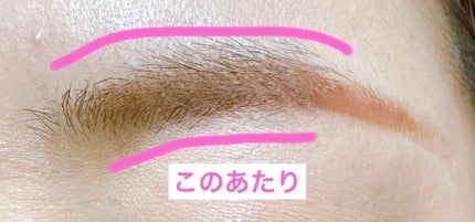 キス うす眉メーカー/KiSS/眉マスカラを使ったクチコミ(4枚目)