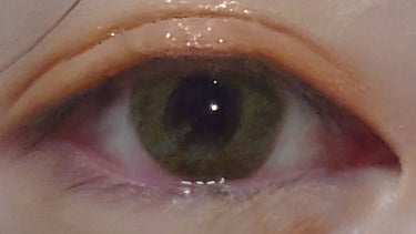 デコラティブアイズ UVモイスト/Decorative Eyes/カラーコンタクトレンズを使ったクチコミ（3枚目）