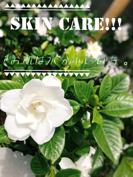 リサージ i スキンメインテナイザー M3(とてもしっとりタイプ)/リサージ/化粧水を使ったクチコミ(1枚目)